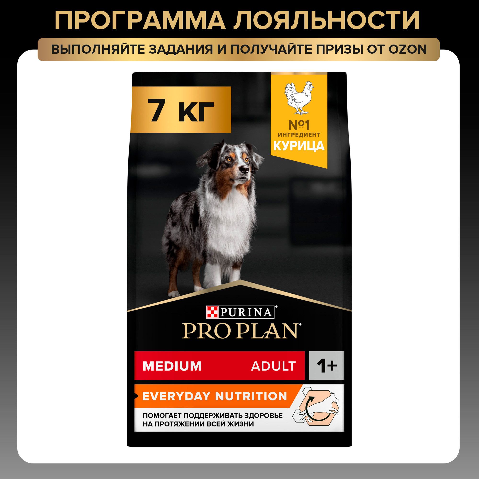 Сухой корм PRO PLAN Everyday Nutrition для взрослых собак средних пород, с курицей, 7 кг