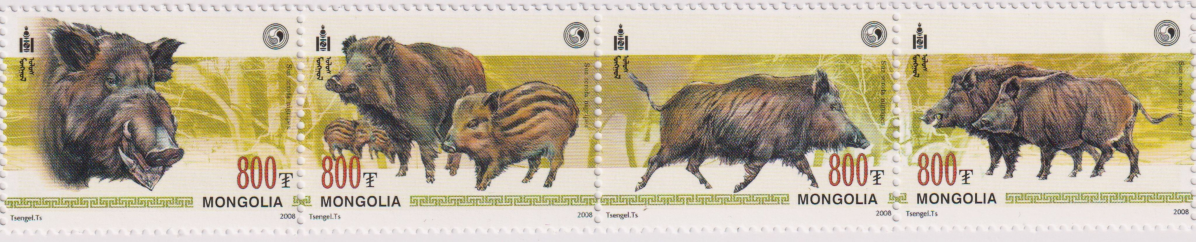 Почтовые марки Монголия 2008г. "Дикие кабаны" Свиньи MNH