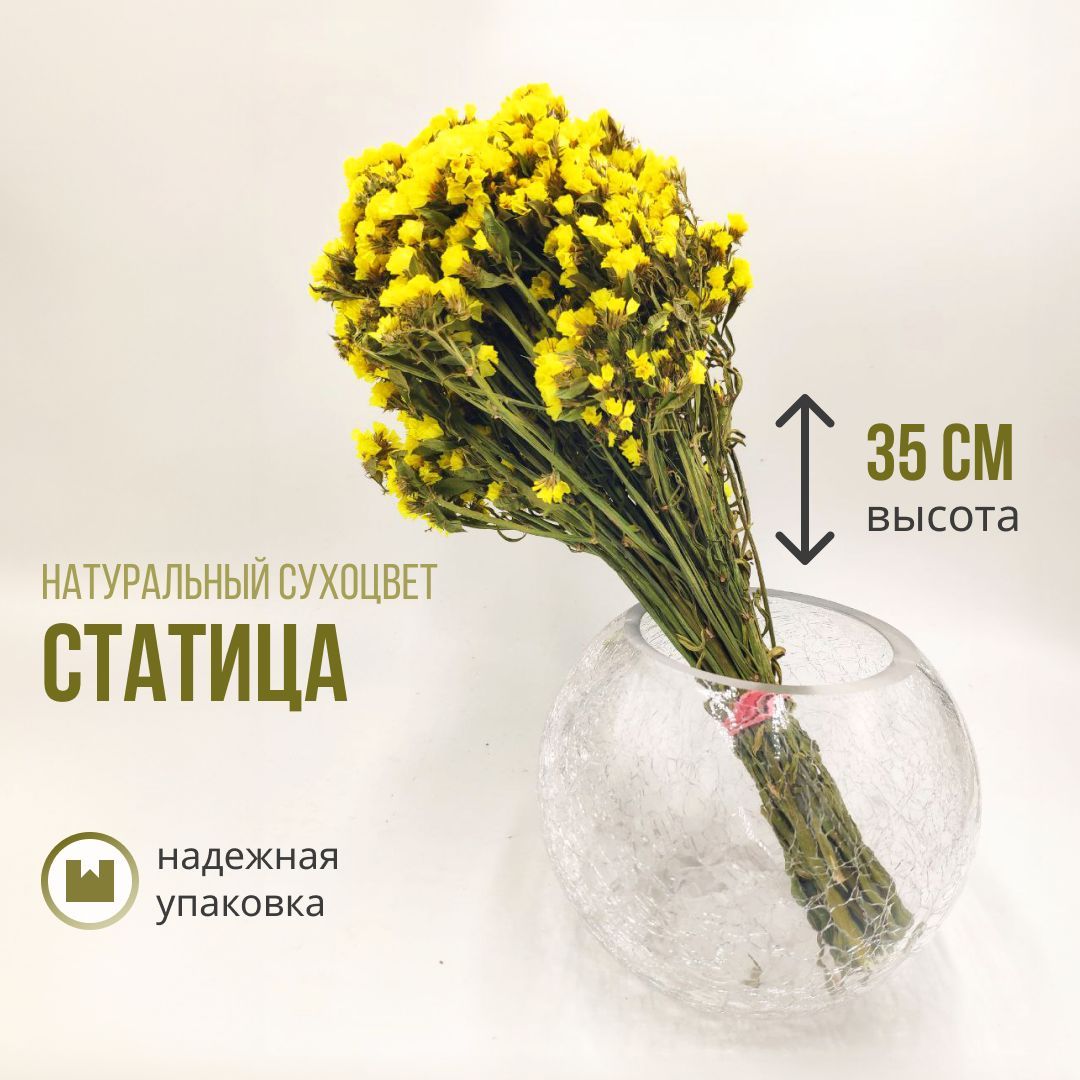 Статица (Statice sinuata) букет из сухоцветов фиолетовая 60 грамм , 35 см высота