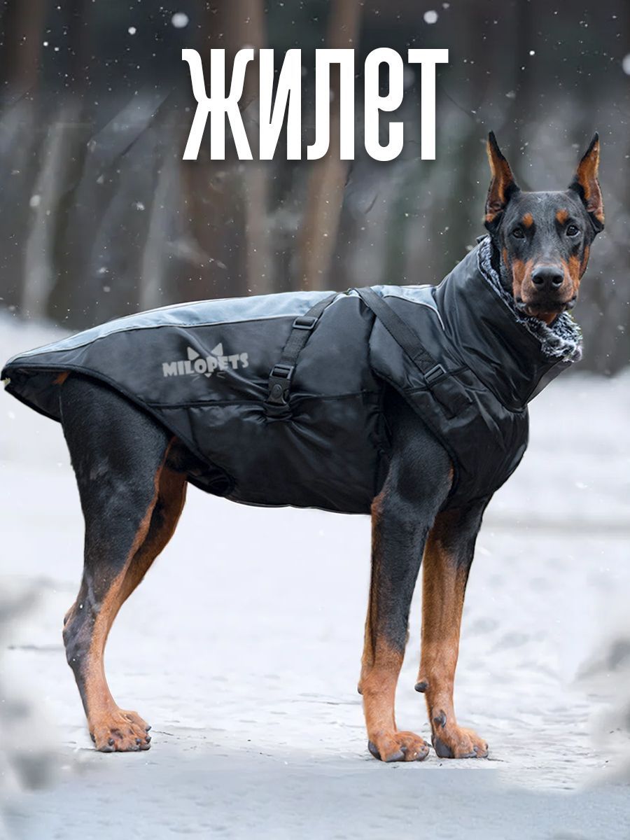 Одежда для собак средних и крупных пород MiloPets, жилет зима, 4XL