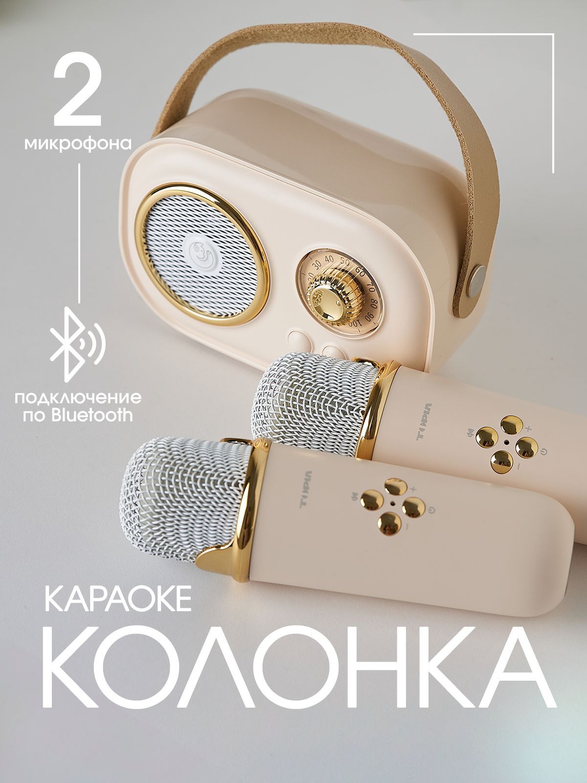 Караоке система с поддержкой Bluetooth, колонка с двумя беспроводными микрофонами