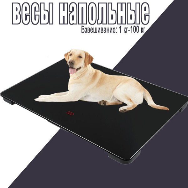весы для животных напольные,80*50см,черный купить на OZON по низкой ...