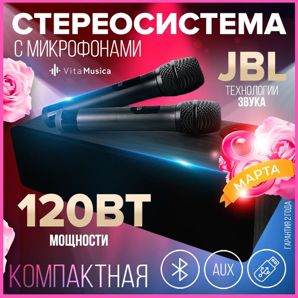 Караоке система для дома Vita Musica, колонка с двумя беспроводными ...