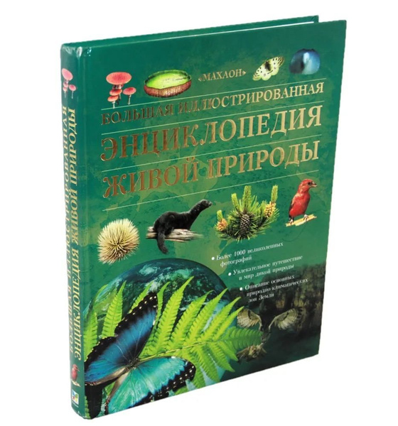 Большая иллюстрированная энциклопедия живой природы Берни Дэвид ...