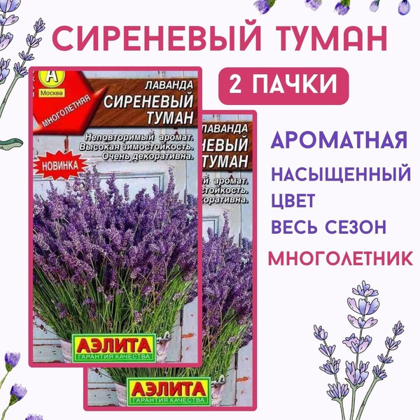 Лаванда Аэлита цветы_Лаванда "Сиреневый туман" - купить по выгодным ...