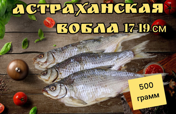 Вобла Астраханская 500 грамм сушеная солёная вяленая крупная - купить с ...
