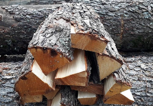 Осиновые дрова-малыши 25 см, 20 кг упаковка надёжная - купить с ...