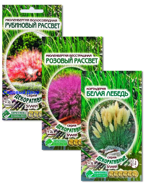 Кортадерия, Пампасная трава Евросемена Декоративные злаки - купить по ...