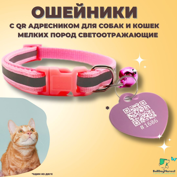 Ошейник для собак мелких пород, ошейник для кошек с QR адресником ...