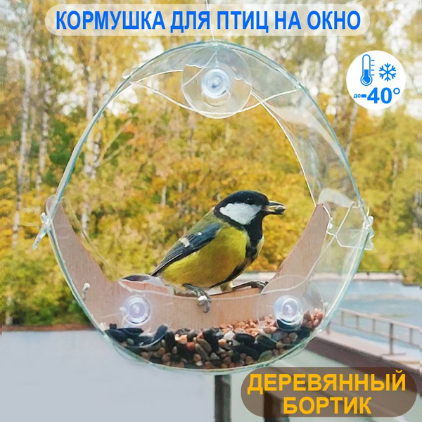 Кормушка для птиц на окно прозрачная с деревянным бортиком - купить с ...