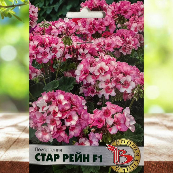 Герань садовая, Пеларгонии (Герань) Биотехника цветов для дома и сада ...