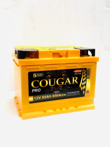 Аккумулятор автомобильный COUGAR PRO купить по выгодной цене в интернет ...