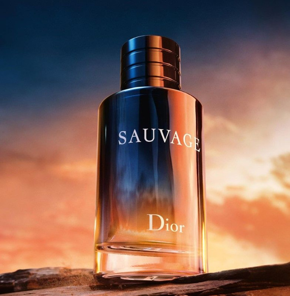 Fragrance World Духи CHRISTIAN DIOR Sauvage parfum 100ml Вода ...