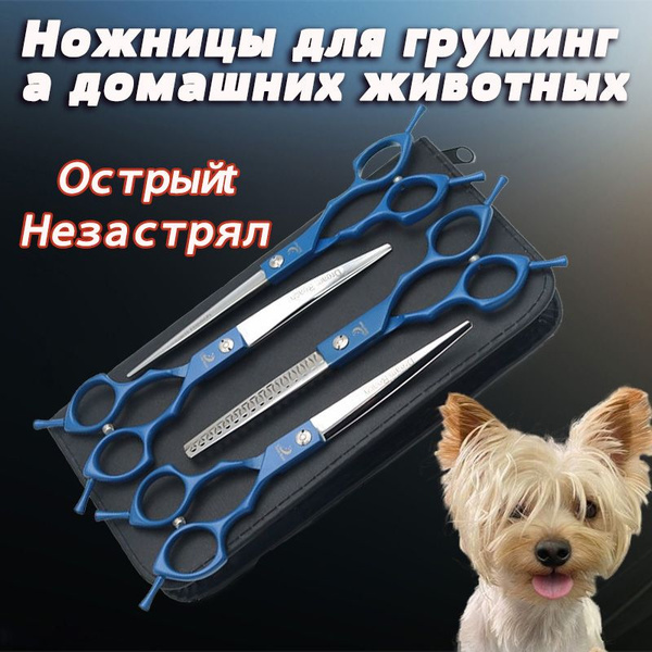 Ножницы для стрижки собак и кошек, набор инструментов для груминга ...