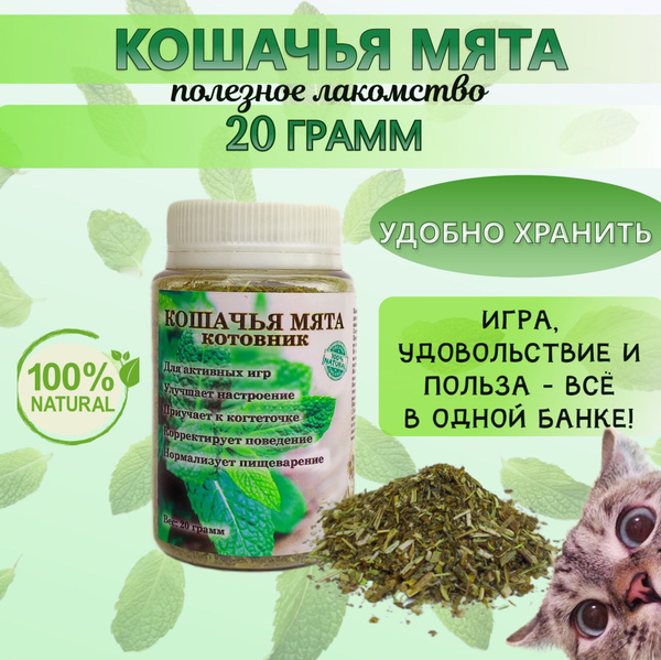 Кошачья мята сушеная лакомство для кошек 20 (10, 50, 100, 250, 500 ...