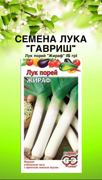 Лук лук порей - купить по выгодным ценам в интернет-магазине OZON ...