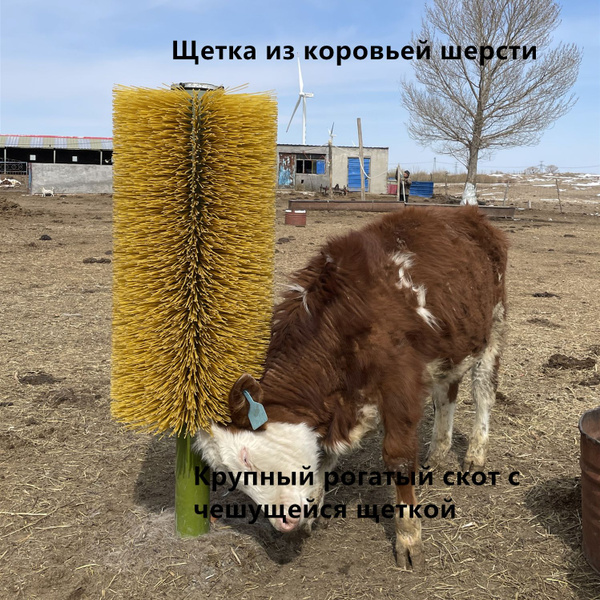 Щетка для тела коровы - купить с доставкой по выгодным ценам в интернет ...