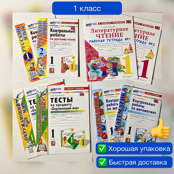 Рабочая тетрадь. Литературное чтение. 1 класс. Русский язык. 1 класс ...