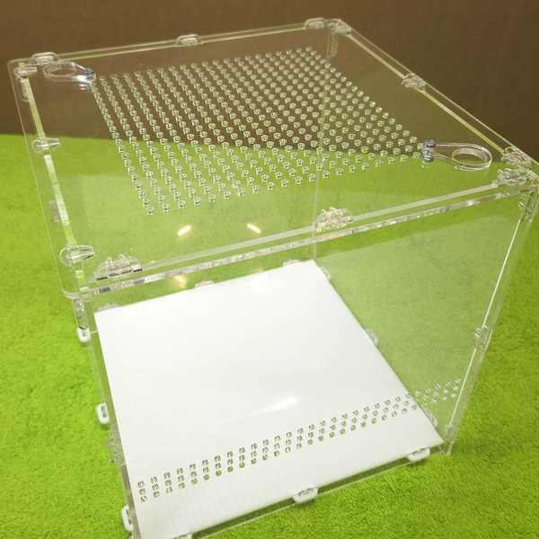 Акриловый террариум на 8 литров (20х20х20) от MyAnts для улиток, пауков ...