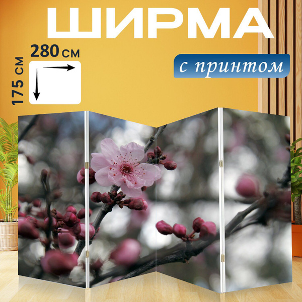 Ширма LotsPrints материал - Холст - купить по доступным ценам в ...