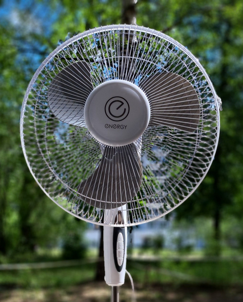 Вентилятор напольный Energy 40W купить c доставкой на OZON по низкой ...