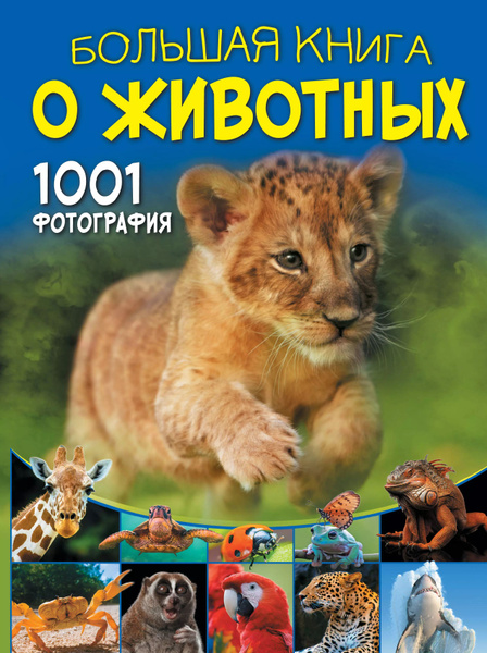 Большая книга о животных. 1001 фотография купить на OZON по низкой цене ...