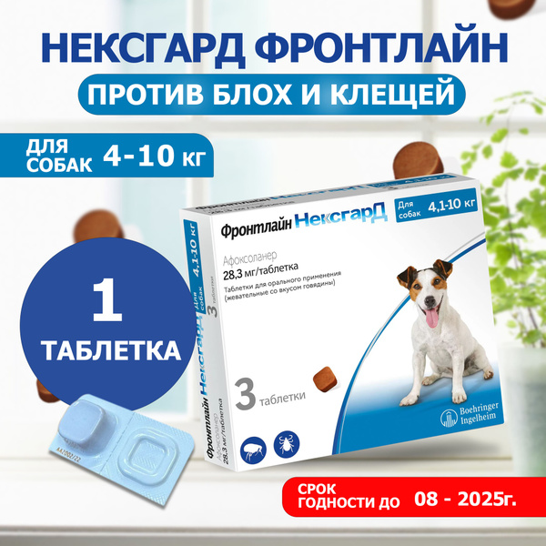 Нексгард фронтлайн от клещей и блох для собак весом 4,1-10 кг., 1 ...
