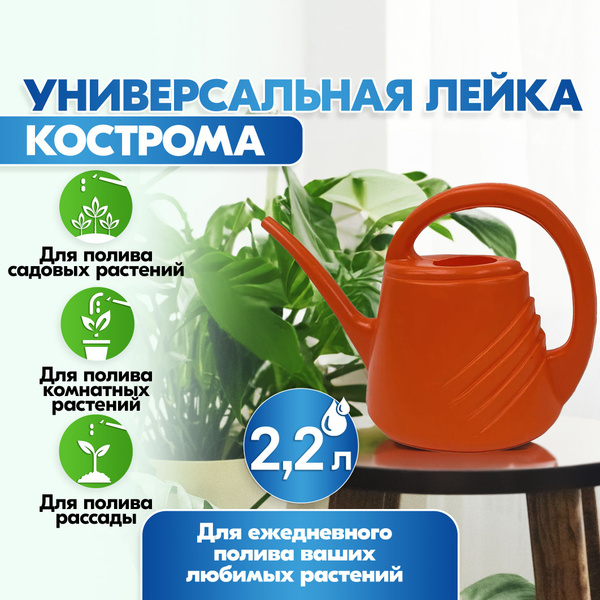 Вопросы и ответы о Лейка Кострома садовая для полива комнатных цветов ...