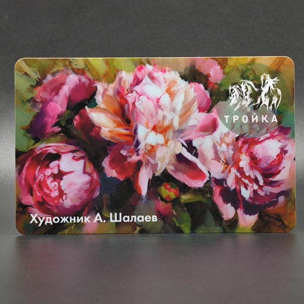 Характеристики Транспортная карта метро Тройка коллекционная - картина ...