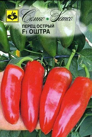 Семко перца острого Оштра F1 (Израиль) - купить по выгодным ценам в ...