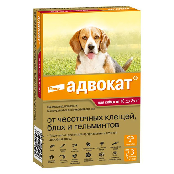Капли АДВОКАТ (от10 до 25кг) для СОБАК, 3 пипетки - купить с доставкой ...