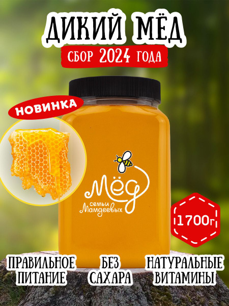 Мед натуральный, Дикий мёд, 1,7 кг бортевой мёд, продукты питания ...