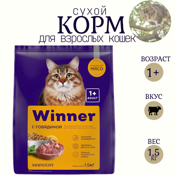 Корм сухой для взрослых кошек " Winner" Мираторг/ 1,5 кг купить на OZON ...