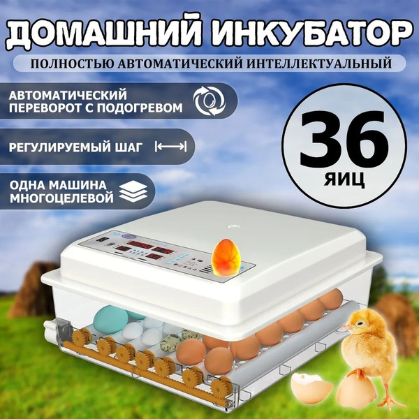 Автоматический инкубатор 36 с термостатом, гигрометром, зеркалом для ...