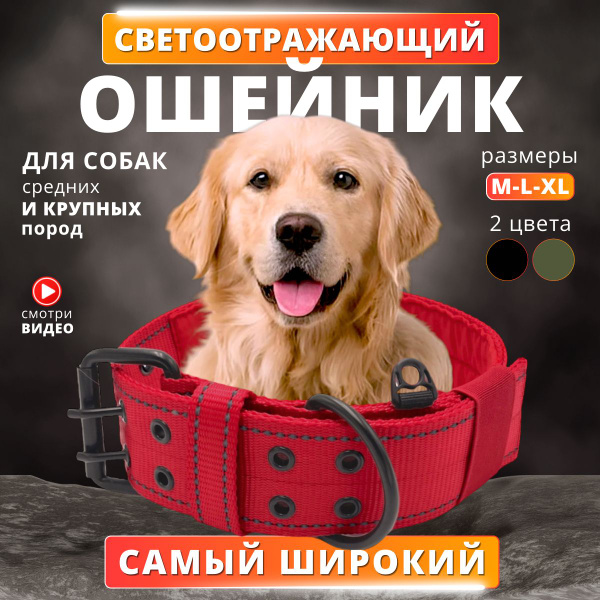 Ошейник для собак крупных пород широкий - купить с доставкой по ...