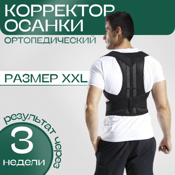 Корсет ортопедический грудопоясничный - купить с доставкой по выгодным ...