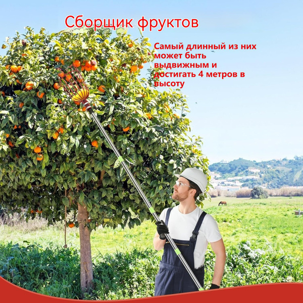 Плодосборник,40х40см - купить с доставкой по выгодным ценам в интернет ...