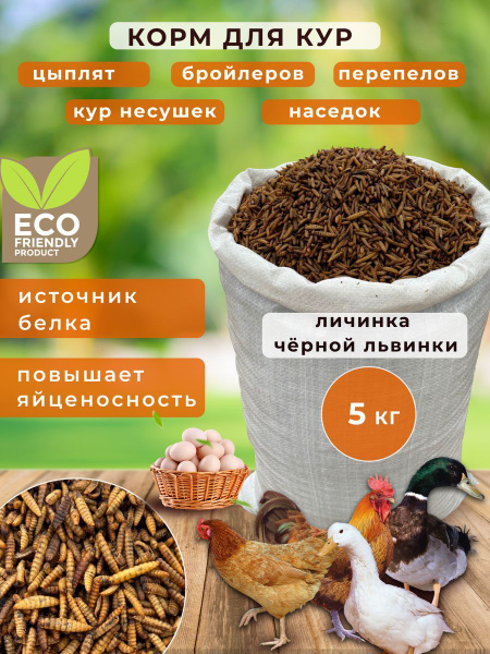 Корм для кур перепела бройлеров для яйценоскости 5кг - купить с ...
