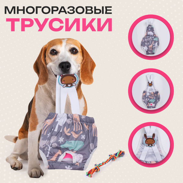 Трусы для собаки во время течки, XL. - купить с доставкой по выгодным ...