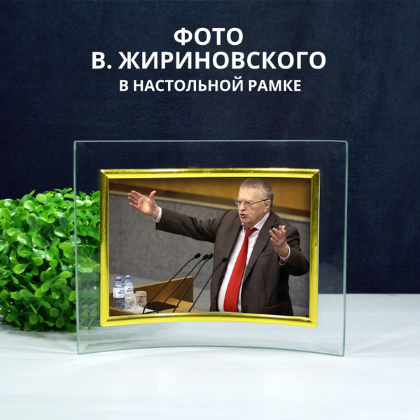 Портрет Жириновского настольный в рамке для кабинета, библиотеки, офиса ...
