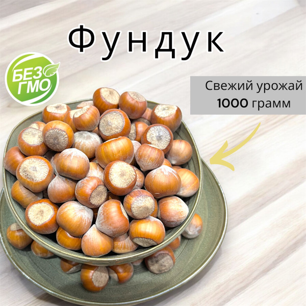 Фундук неочищенный (в скорлупе), 1кг сырой, 100% натуральный купить на ...