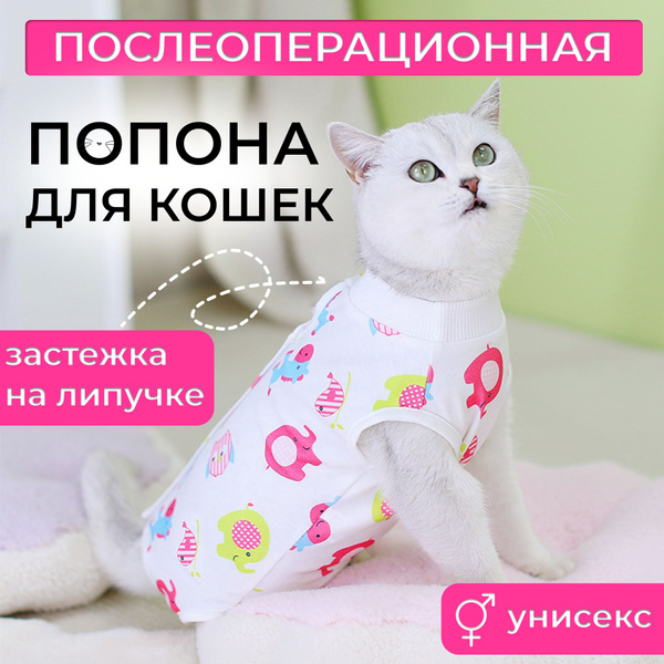 Попона послеоперационная для кошек купить на OZON по низкой цене ...