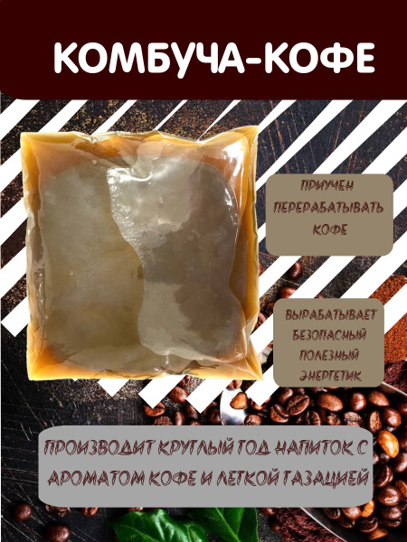 КОМБУЧА - КОФЕ. Чайный гриб приучен перерабатывать кофе. Полезный и ...