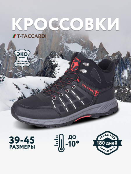 Кроссовки T.TACCARDI - купить с доставкой по выгодным ценам в интернет ...