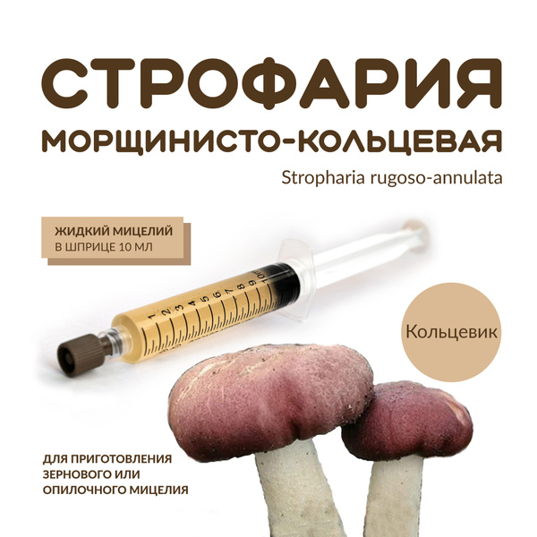 Жидкий мицелий Строфарии морщинисто-кольцевой купить c доставкой на ...