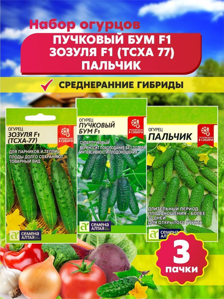 Огурцы Семена Алтая огурцы - купить по выгодным ценам в интернет ...