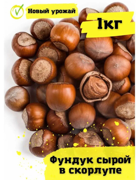 Орехи фундук (в скорлупе) 1 кг купить на OZON по низкой цене (1746125669)