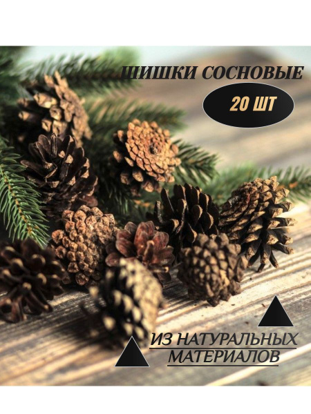 7203130457.jpg