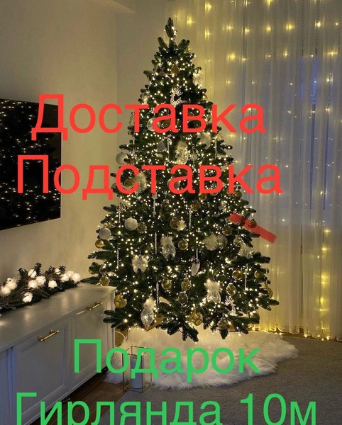 Елка живая купить на OZON по низкой цене (1766416333)