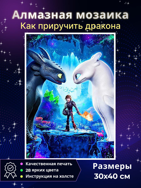 Алмазная мозаика Как приручить дракона купить на OZON по низкой цене ...